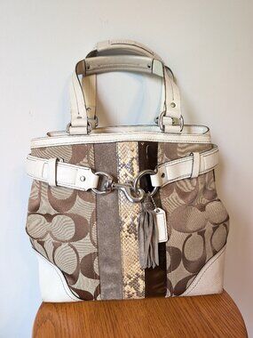Coach 10264 Hampton Python Stripe Book Tote